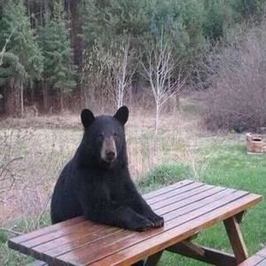 Meet your Posher, Mango